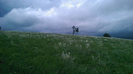 The beginning of our tour at canyon Nera.