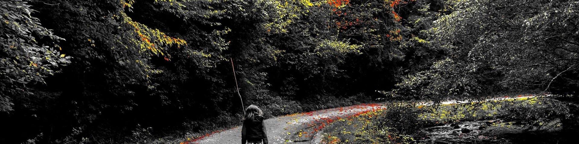 She had the road all for herself
#colorful fall #sibiu #romania