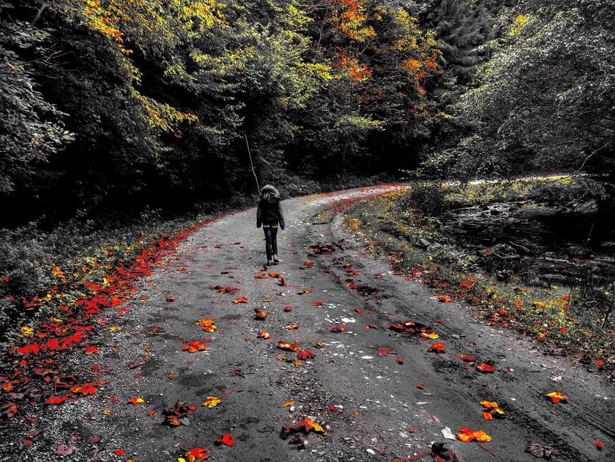 She had the road all for herself
#colorful fall #sibiu #romania