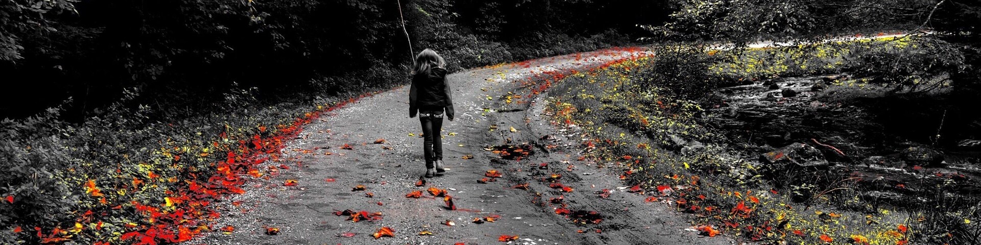 She had the road all for herself
#colorful fall #sibiu #romania