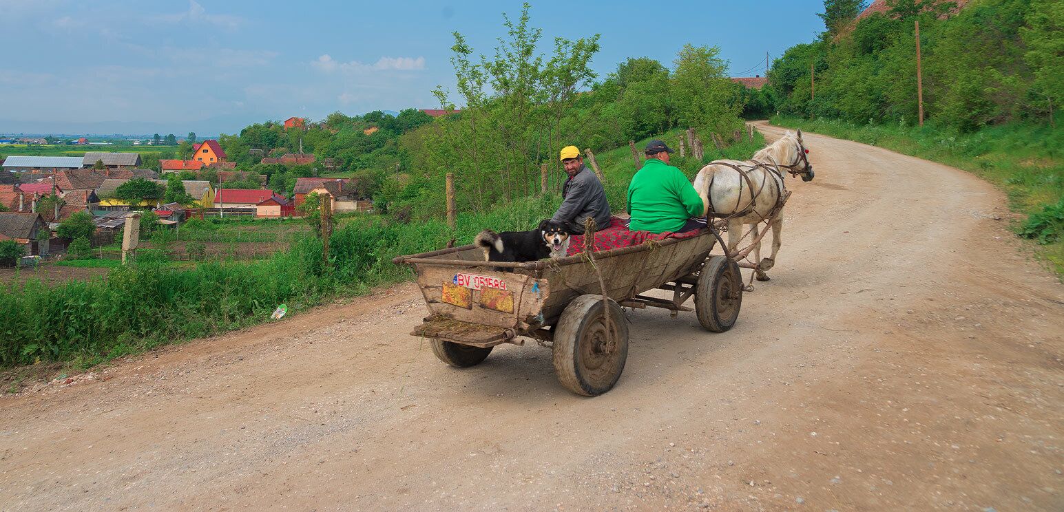 Typical in Romanian roads...Single horse power driven vehicles.

http://www.alwayswanderlust.com/sibiu-romania-the-heart-of-transylvania/