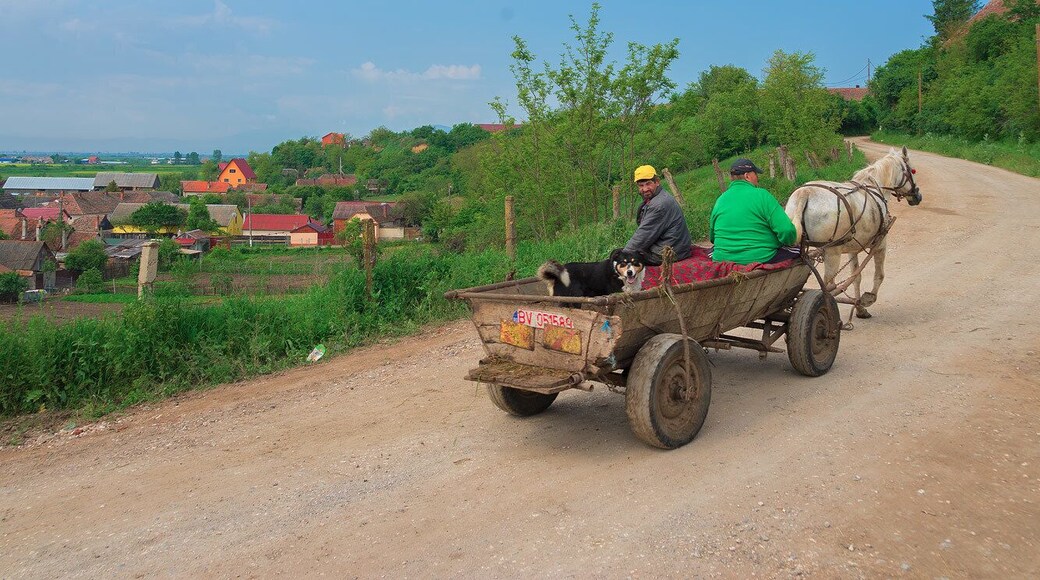 Typical in Romanian roads...Single horse power driven vehicles.
http://www.alwayswanderlust.com/sibiu-romania-the-heart-of-transylvania/