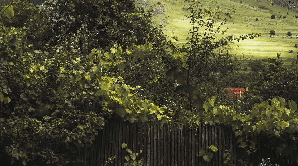 Awesome sight in a beautiful little village. Really easy and rewarding hike if you want to get to the top.