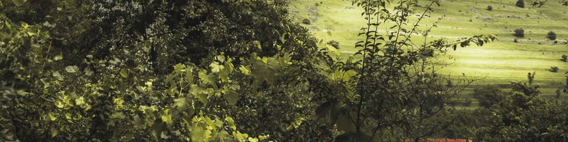 Awesome sight in a beautiful little village. Really easy and rewarding hike if you want to get to the top.