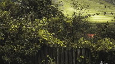 Awesome sight in a beautiful little village. Really easy and rewarding hike if you want to get to the top.