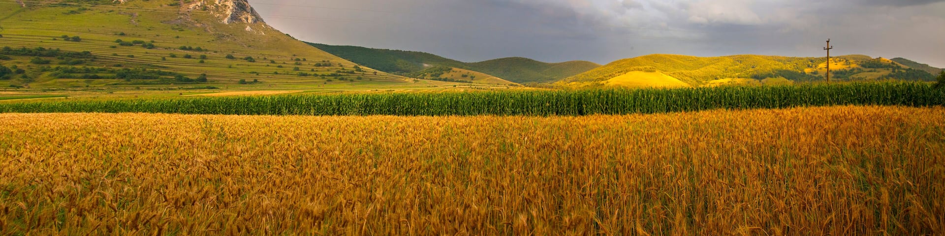 Piatra Secuiului, Szekelyko mountain