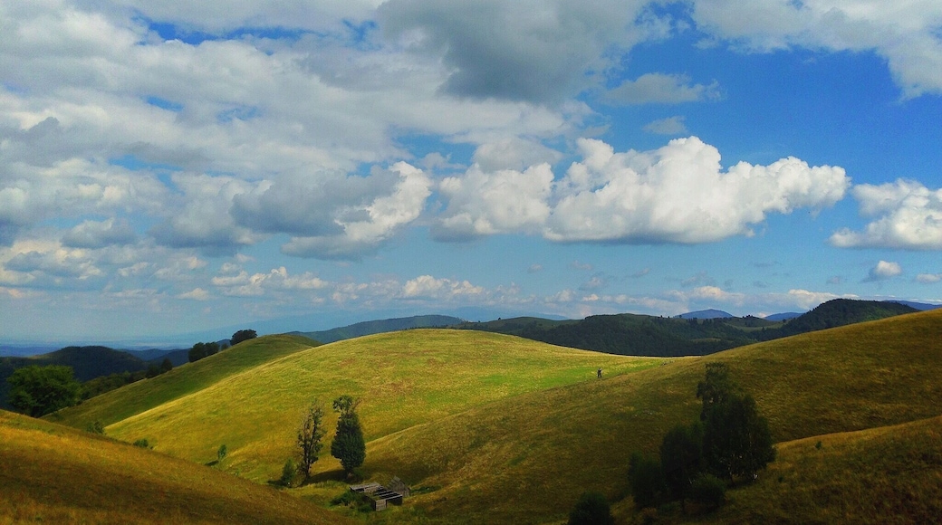 Parcul natural Cindrel #nationalpark