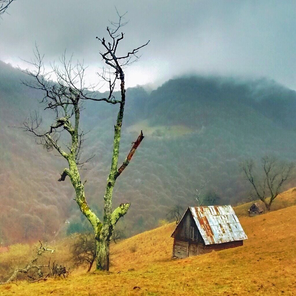 On the climb to Paltinis when roads cross with Gura Raului on the left is this beauty spot. Let's  hike!