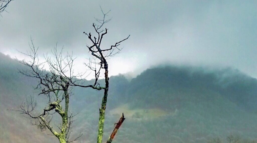 On the climb to Paltinis when roads cross with Gura Raului on the left is this beauty spot. Let's hike!