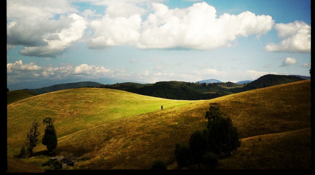 Paltinis #Sibiu with one of the best autumn views! #roadtrip
