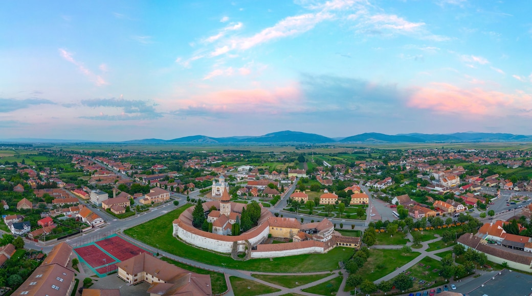 Et panorama med udsigt over en by, et markant slot, grønne marker og fjerne bjerge.