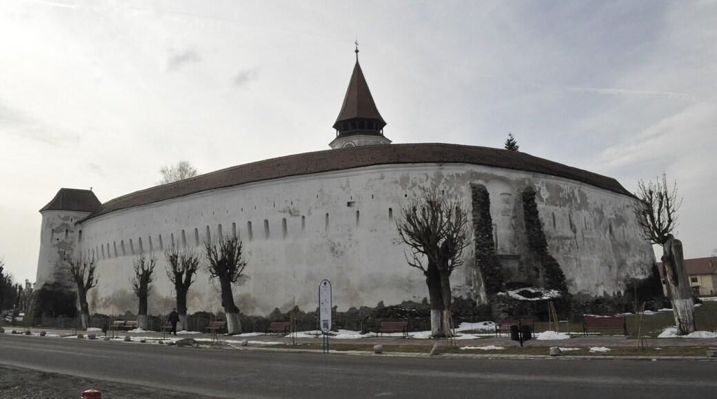 A fortified church in the village of Prejmer, Transylvania, about 15 km from Braşov.
You can explore the courtyard, inner walls, and some of the storage rooms.