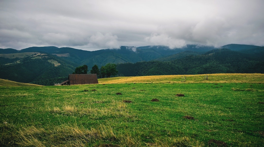 Moody weather and contrasting landscape is so lovely. #BVStrove