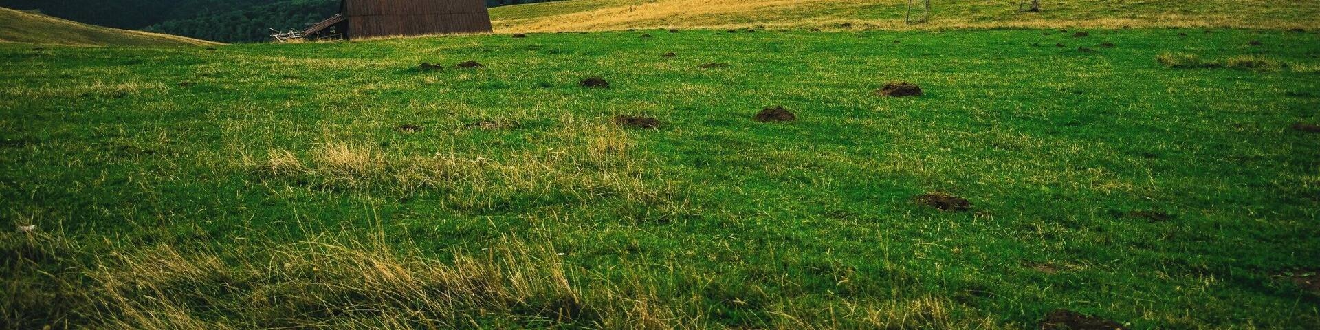 Moody weather and contrasting landscape is so lovely. #BVStrove