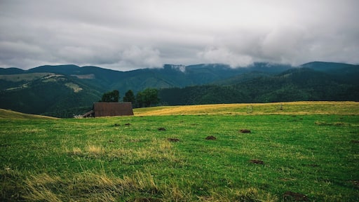 Moody weather and contrasting landscape is so lovely. #BVStrove