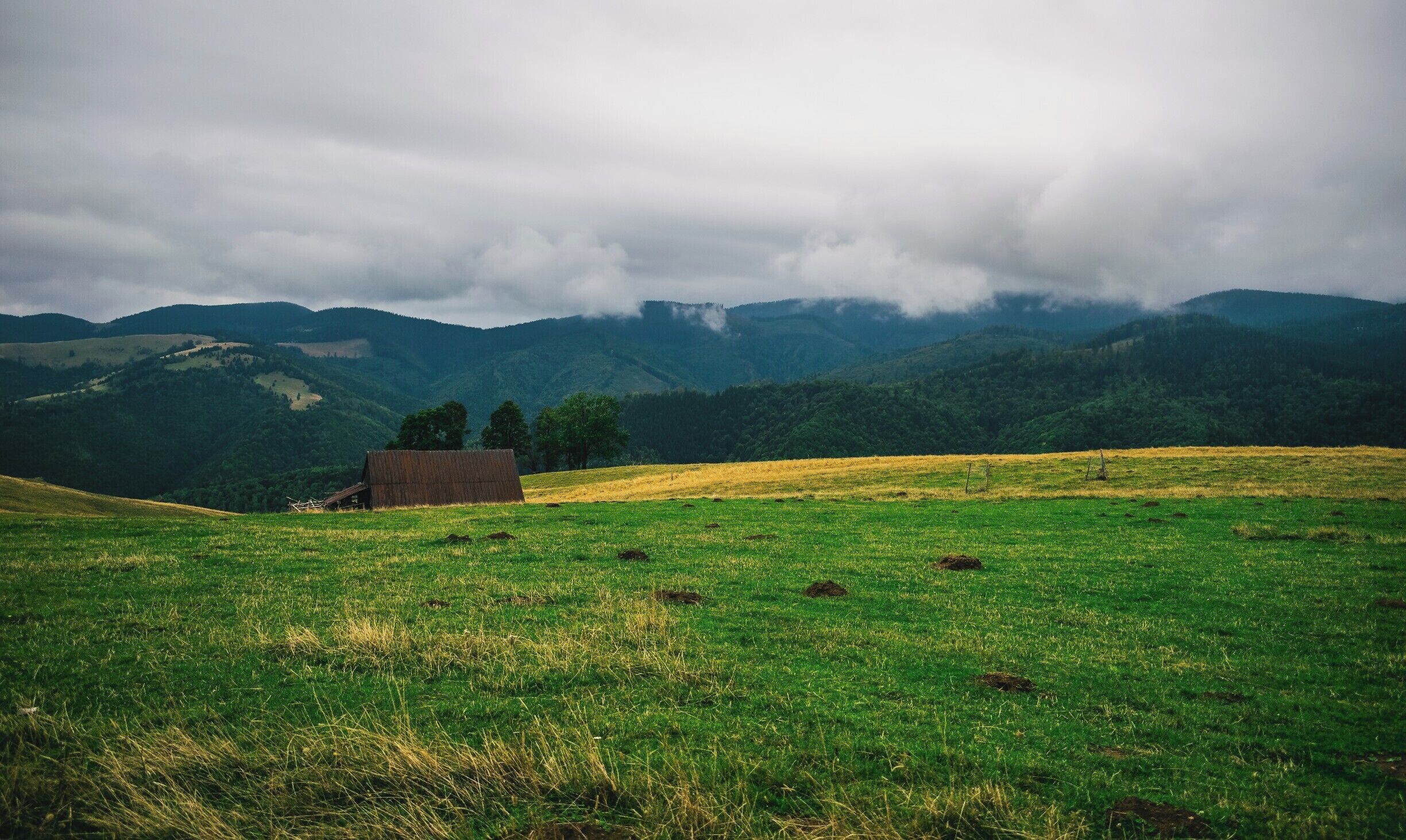 A grassy field with a wooden structure and a forested mountain range in the background.