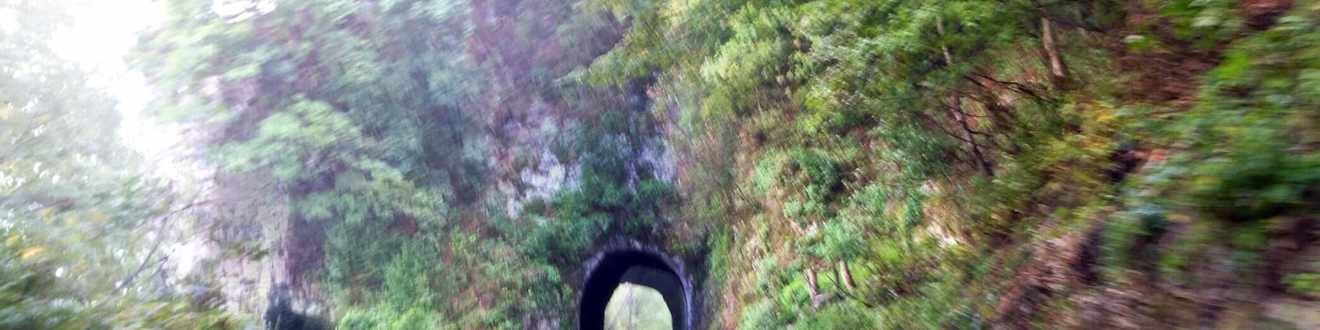 Rediscovering the oldest railway in Romania http://www.welcometoromania.ro/Oravita/Oravita_Oravita_Anina_r.htm
#roadtrip