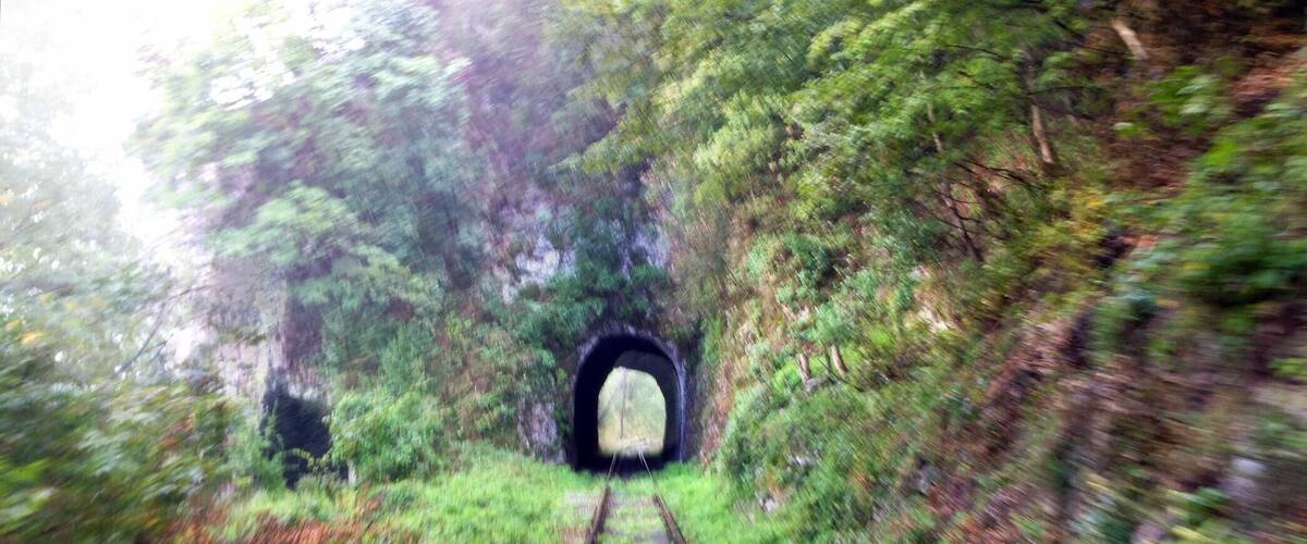 A railway track leading to a tunnel surrounded by dense forest.