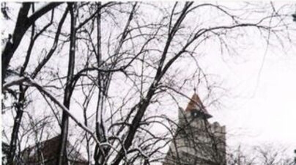 Bran castle situated on the border between Transylvania and Wallachia.
#BestOf5 #WinterWonders #InStone