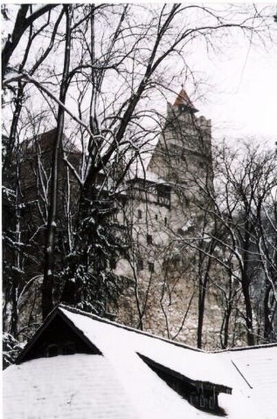 A snow-covered roof, leafless trees, and a stone building with a tower.