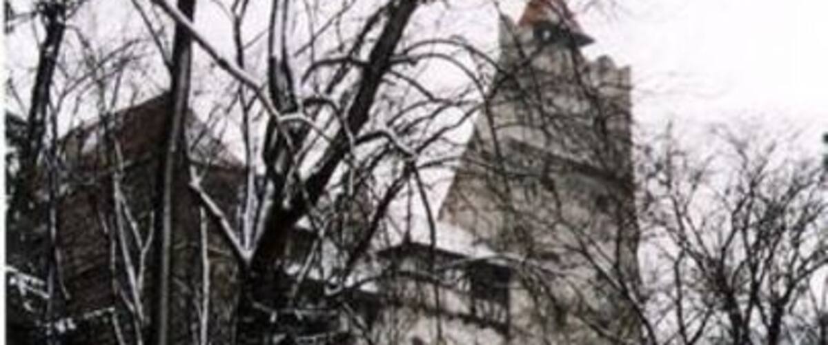 A snow-covered roof, leafless trees, and a stone building with a tower.