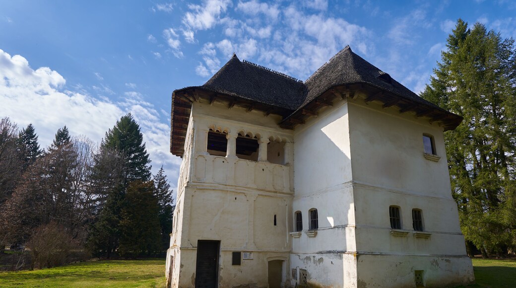 The Cula from Maldaresti, Romania, a fortress manor