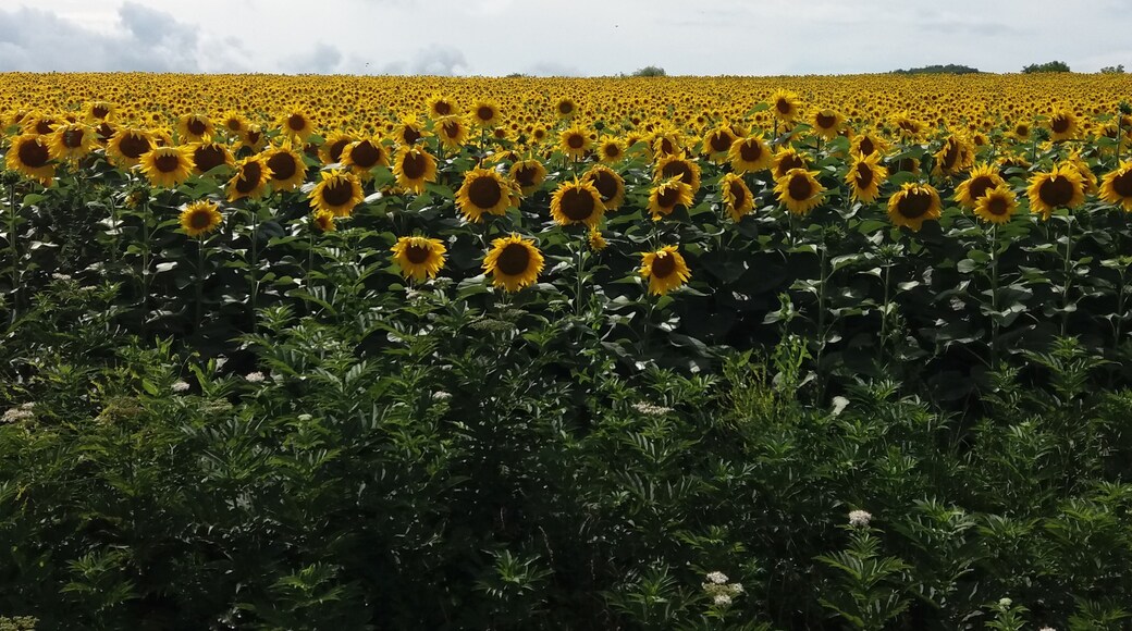 Somewhere on the road in Georgia