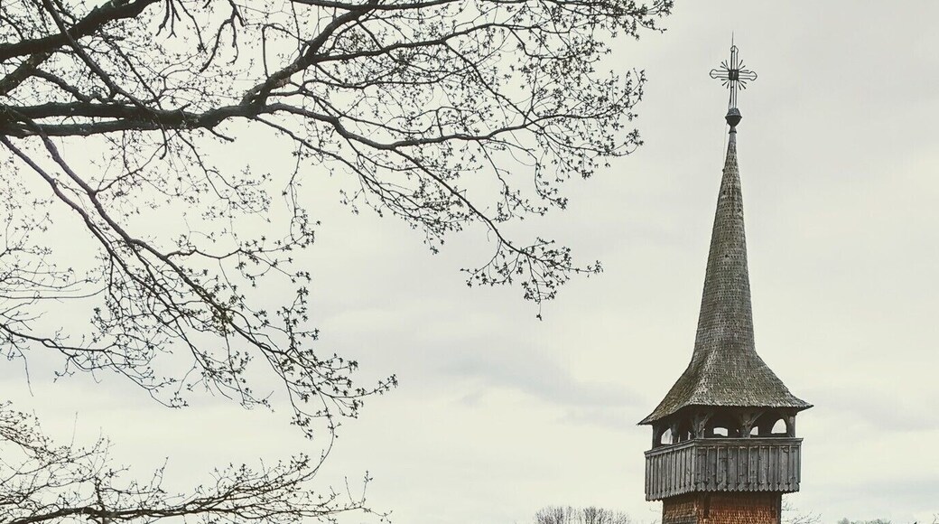 I went back, after 5 years. Although a bit fearful when stepping inside the courtyard, I found the same feeling that filled my heart. Immense peace before the oldest wooden church in Maramures and awe before the mellow #Green hills in sight.
P.S. Find out more about the richness of Maramureș--
https://bit.ly/3avNql6
