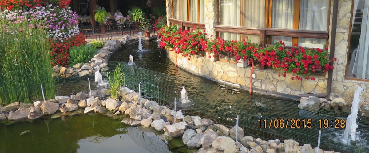 A pond with a stone border, surrounded by flowers and rocks.