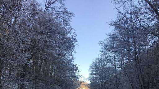 Winter in Romania. Snow and sun in the same time ❄️🌞