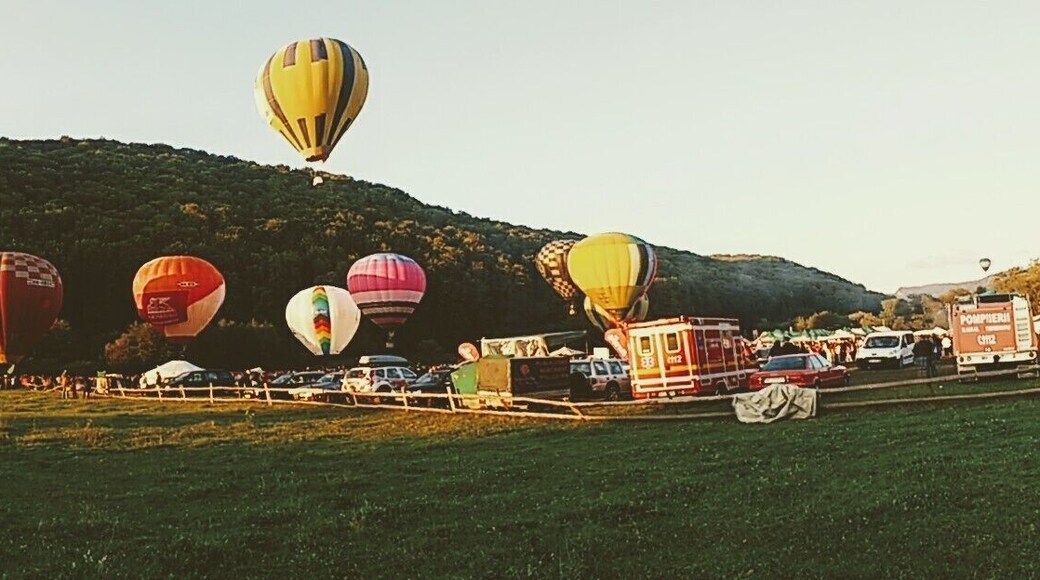 International hot air balloon #Festival. Impressive show at dusk, in a beautiful area of Romania.
#colorful