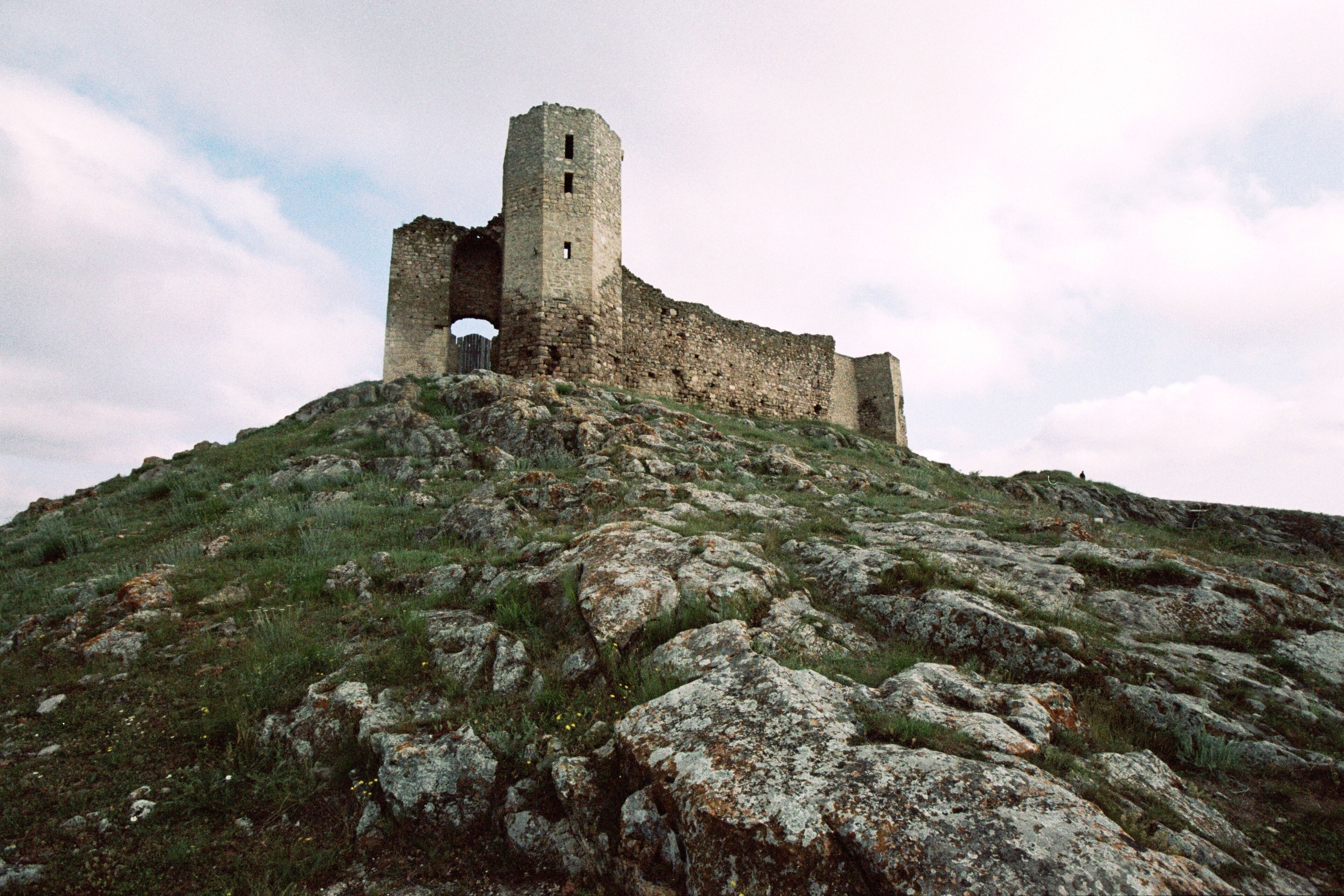 A medieval castle on a grassy hill with a tower.