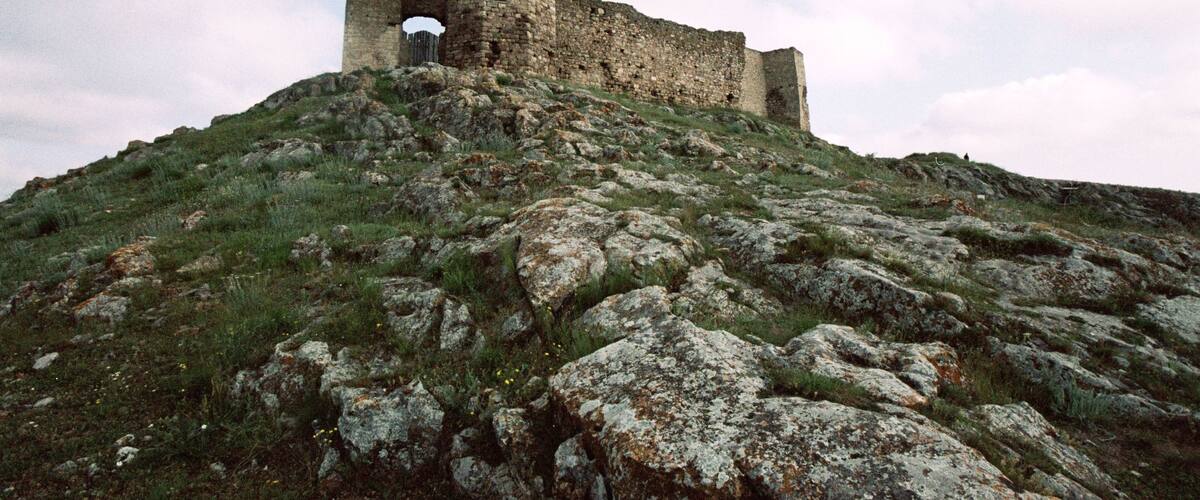 A medieval castle on a grassy hill with a tower.