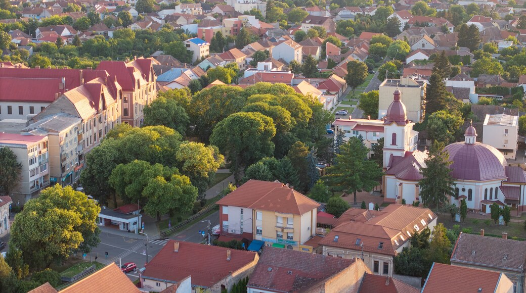 Scenic view of Satu Mare, a city in northern Romania — known for its historic architecture, charming streets, and cultural heritage, offering a unique travel destination off the beaten path.