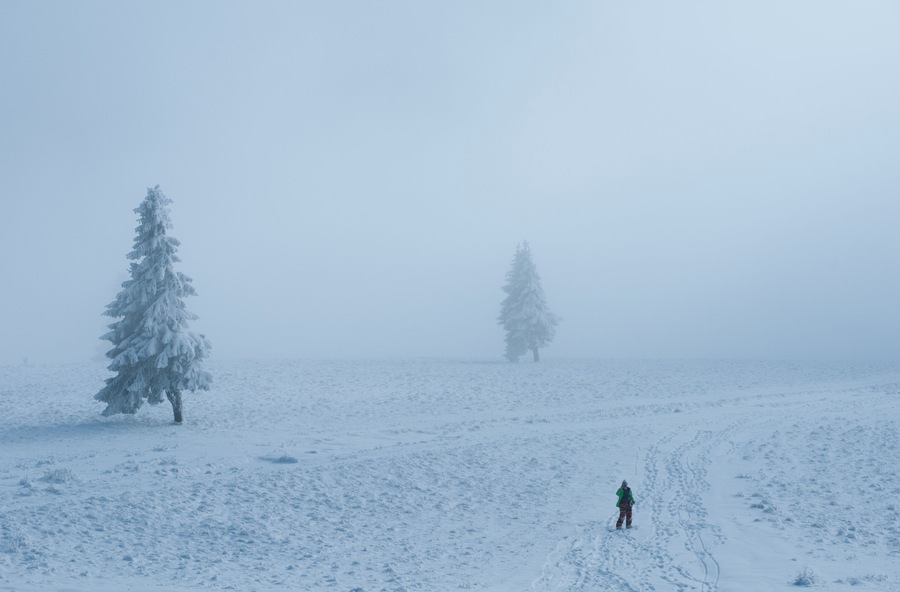 Off-piste snowboarding on November 30th. The scenery is splendid - some of the most beautiful views I've come across in Romania. The good news is that the snow lifts have started working, as of today. Enjoy the great white!
#WinterWonders
P.S. The video of our early-winter mini-trip--
https://youtu.be/WSfzuO9Vayc