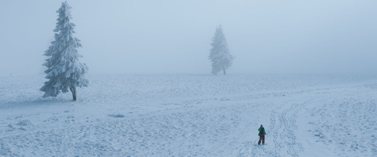 A snowy landscape with two evergreen trees and a person walking on a trail.