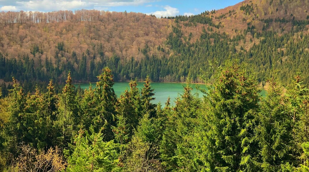 Unique! Voulcanic crater filled with rain water and melted snow. All this in the past 32000 years or so. :)