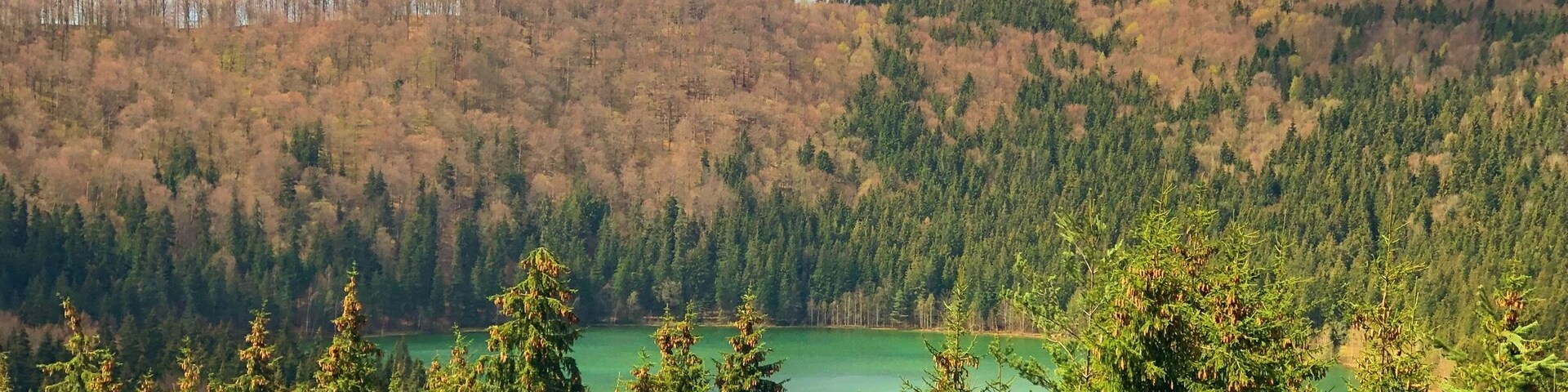 Unique! Voulcanic crater filled with rain water and melted snow. All this in the past 32000 years or so. :)