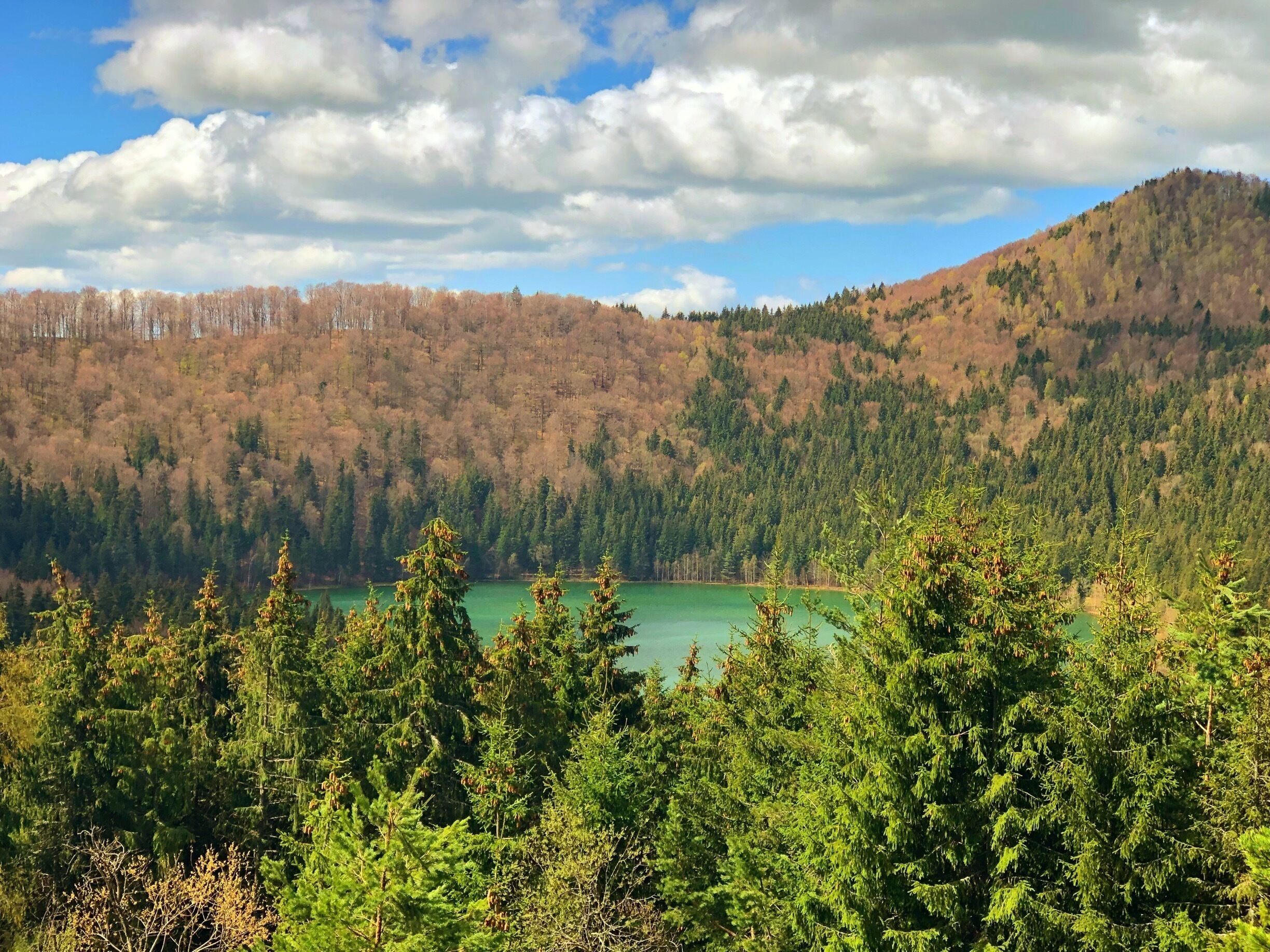 A mountainous landscape with a lake surrounded by dense forests.