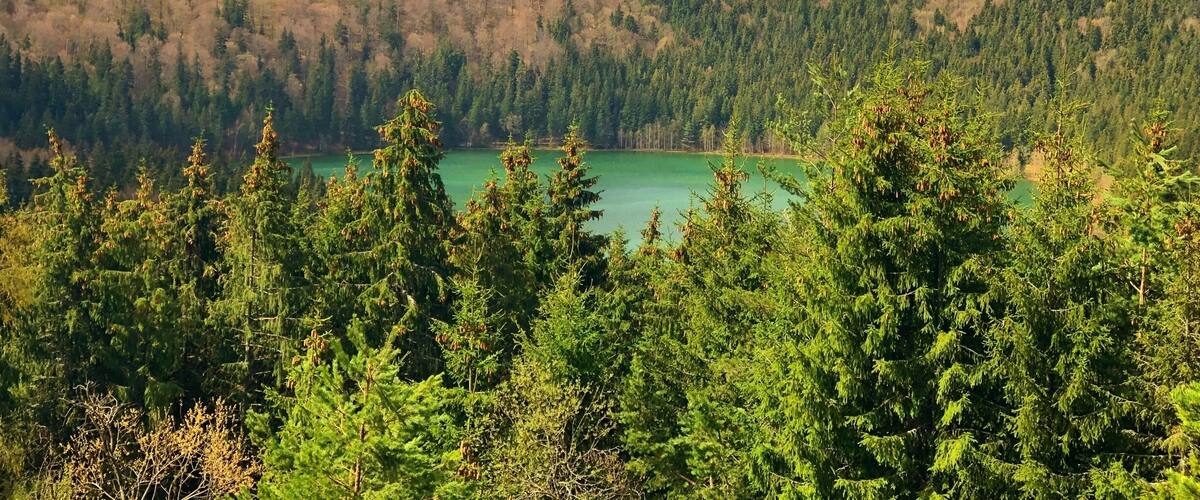 A mountainous landscape with a lake surrounded by dense forests.