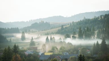Kind and welcoming hosts, good food, plus you get to dive into views like this straight from the front door.
It is a very beautiful and wild area of Romania, well worth exploring.
#GreatOutdoors
P.S. When Romania turns 100 (in Romanian)--
https://bit.ly/2UItpB5