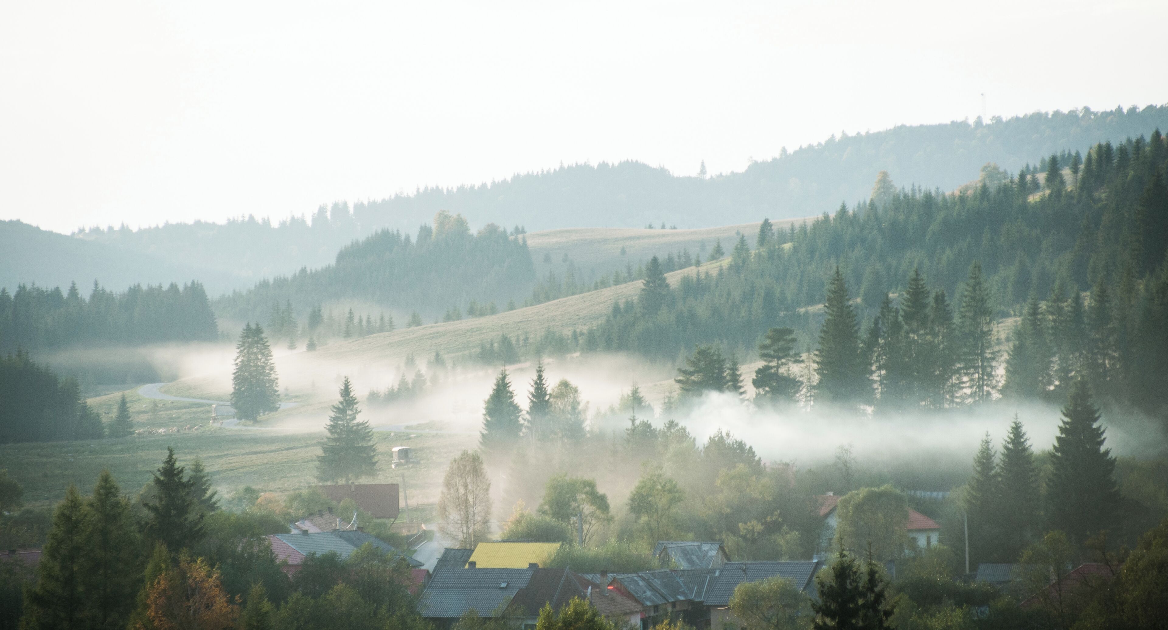 A misty valley with houses, dense forests, and rolling hills.