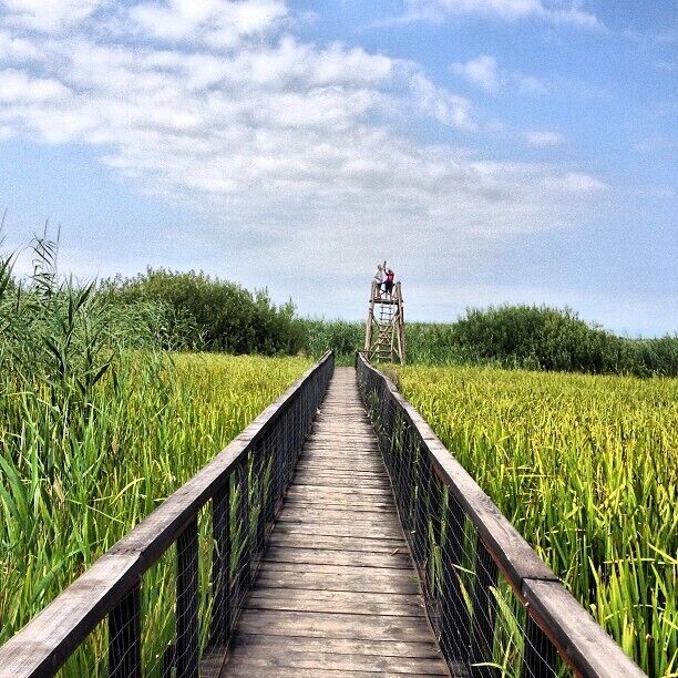 Comana is a National Park close to Bucharest, where it is believed that Vlad Tepes (the famous Dracula), actually died in 1477 during a battle. Near the forest there is also a small delta where you can do some bird watching.
