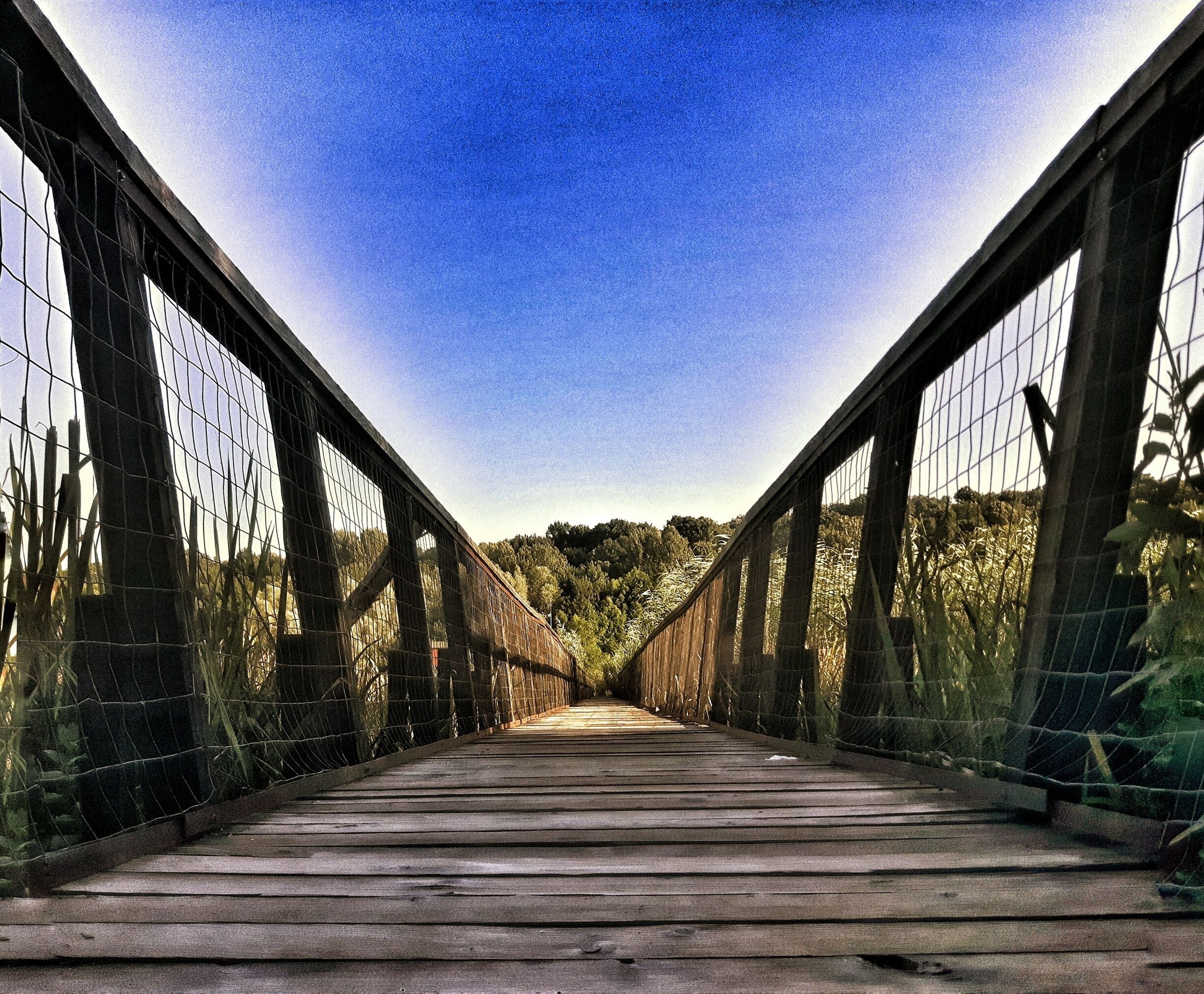 Here is a bridge over the Delta Neajlov in Comana,Romania. You can walk through a beautiful forest where you can sit and relax, maybe eat something and make a picnic.