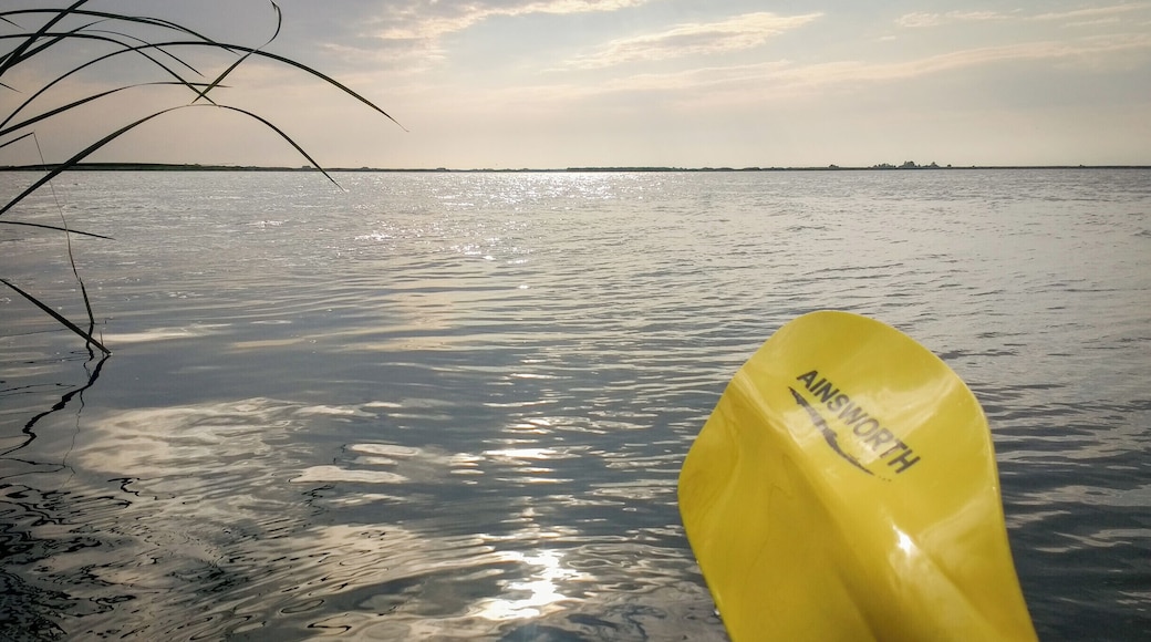 Lake Babina, a protected area and temporary home to hundreds of pelicans (or so we were told by some locals). We tried to disturb as little as we could, starting and ending our route in Câşliţa.
#waterlust