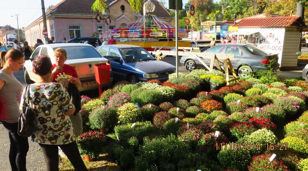 A traditional market in this region, not only flowers.
#Market