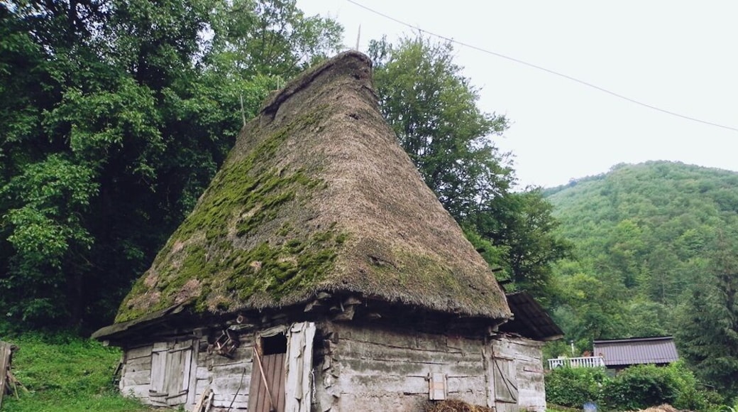 Old mountain houses in the Apuseni Mountains of the Western Carpathians, Romania! http://wp.me/p1hz24-18n