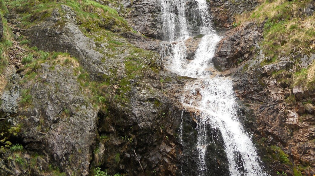 Discovering new beauties.