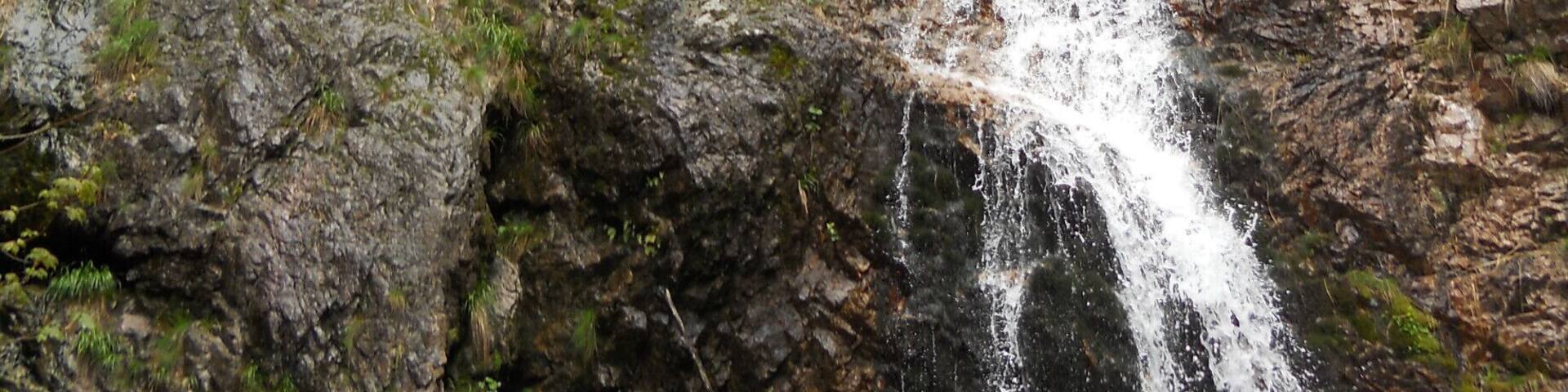 Discovering new beauties.