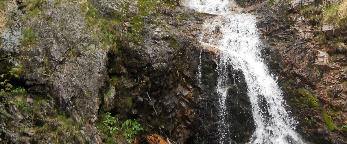 A cascading waterfall in a forested area with rocky terrain and lush greenery.
